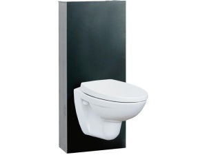WC-fikstur glassboks svart