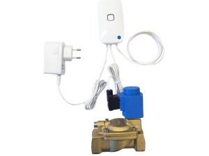 VIWA Watersafe 1/2 "" enkel med autotest""""